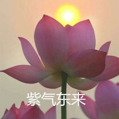 多多超市手机版下载